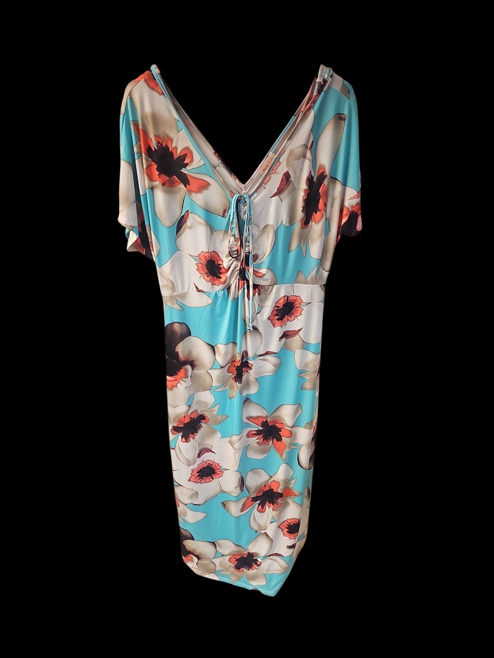 Hailey And Co. Floral V-Neck Tie-Front Midi Dress in Aqua